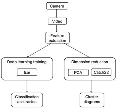 Automatic classification of hyperkinetic, tonic, and tonic-clonic seizures using unsupervised clustering of video signals